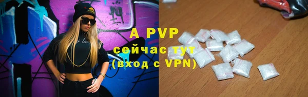 Альфа ПВП Белокуриха