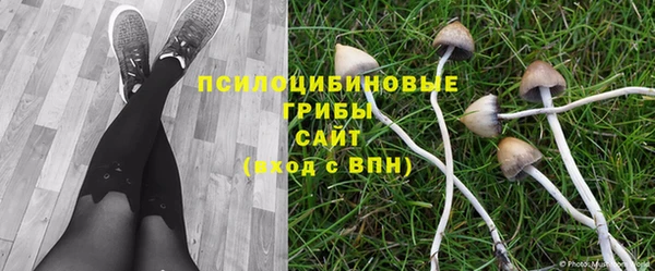 кокс Баксан
