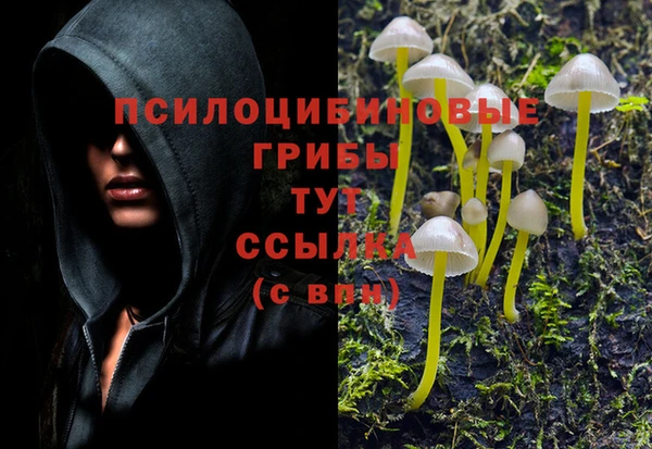 кокс Баксан