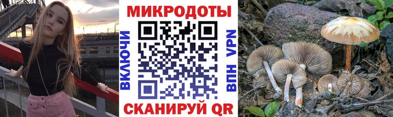Купить где  Петровск  Галлюциногенные грибы ЛСД 