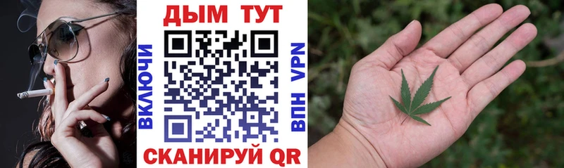 Бошки Шишки VHQ  Купить закладки  Петровск 
